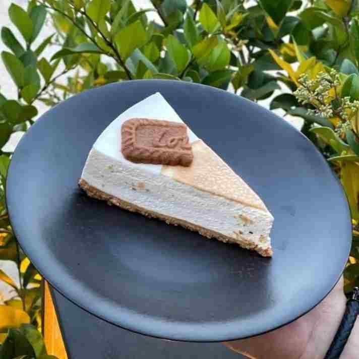 چیز کیک لوتوس