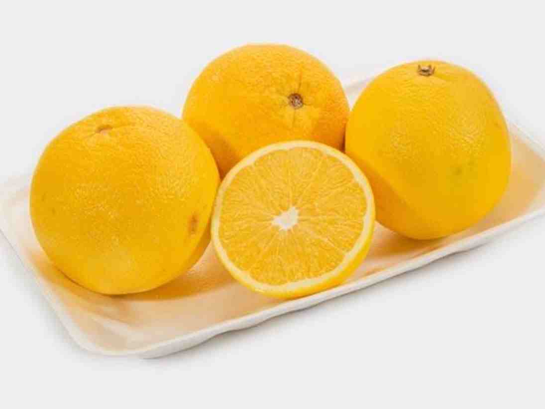 پرتقال شمال