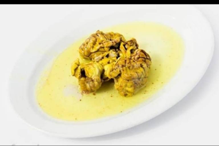 نصف مغز