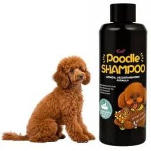 Poodle 2in1 Shampoo
