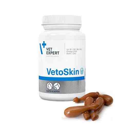 کپسول مکمل وتو اسکین وت اکسپرت سگ و گربه – VetoSkin VetExpert