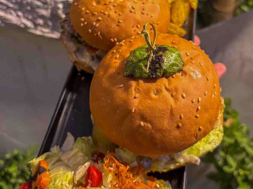 چیکن اسلایدر