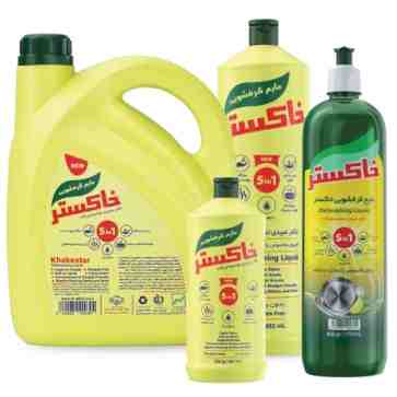 مایع ظرفشویی 5 در 1 (500 گرمی)