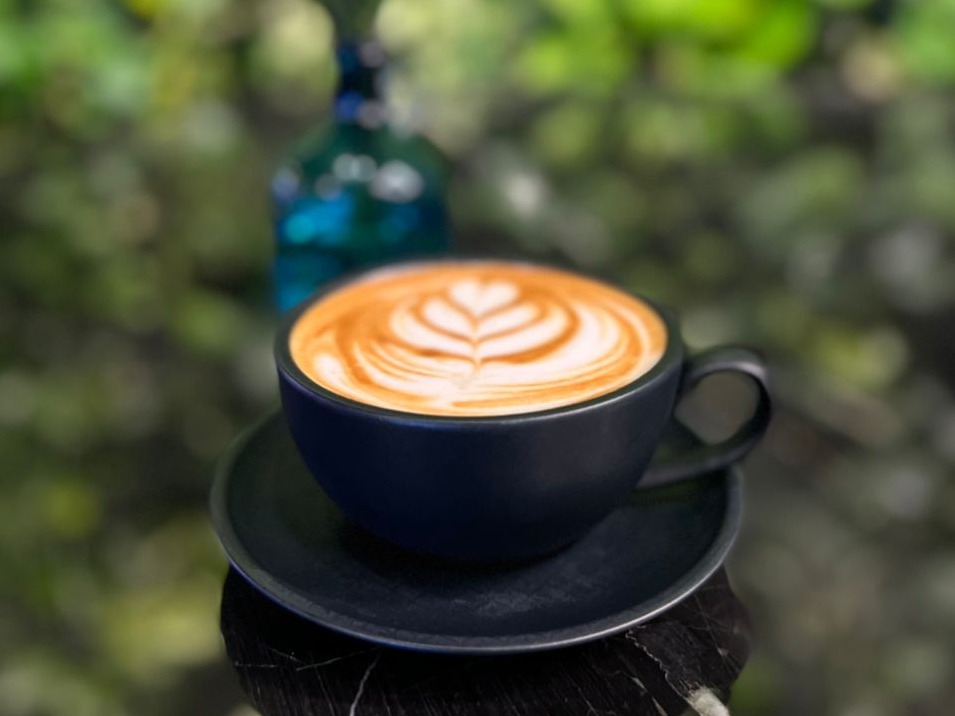 کاپوچینو
