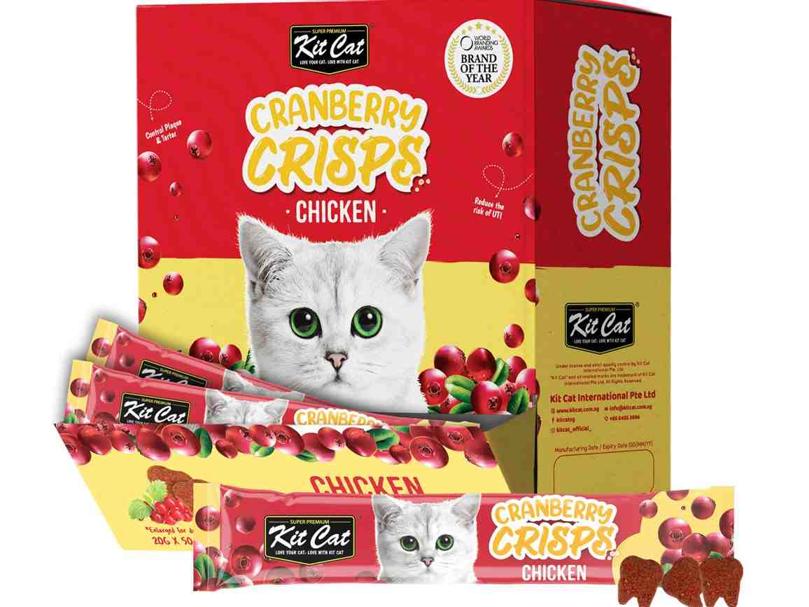 تشویقی کرنبری مدل Chicken برند کیت کت ساشه 20 گرمی