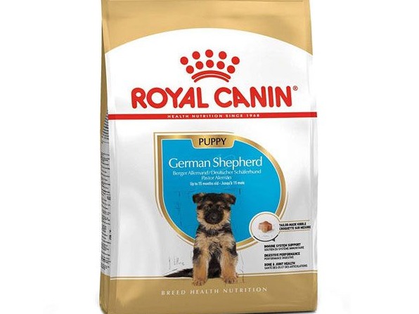 ژرمن پاپی ۳ کیلوگرم ( German puppy)