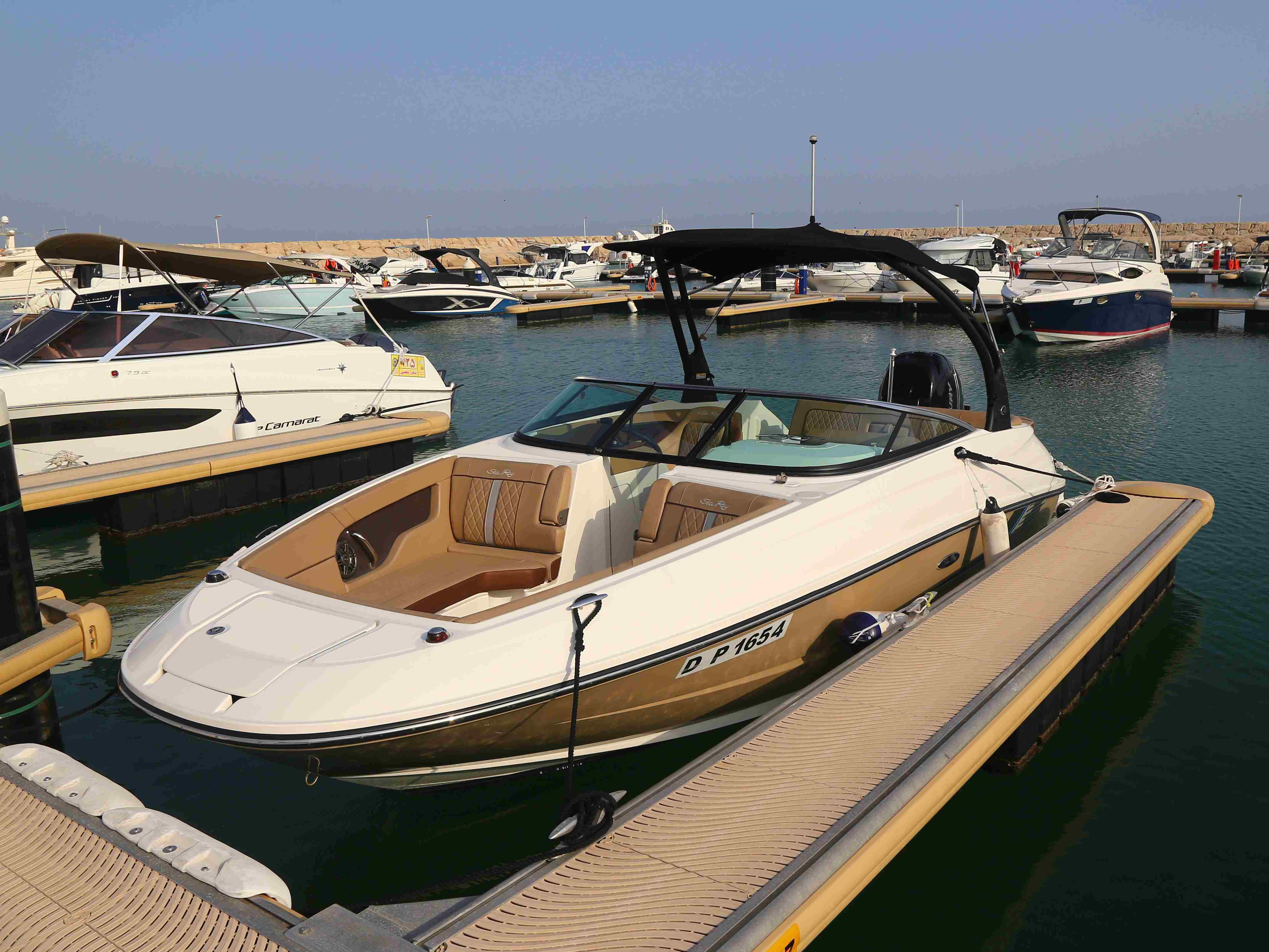 Sea Ray