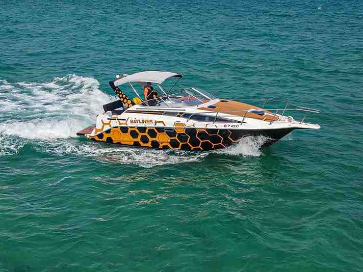 Bayliner