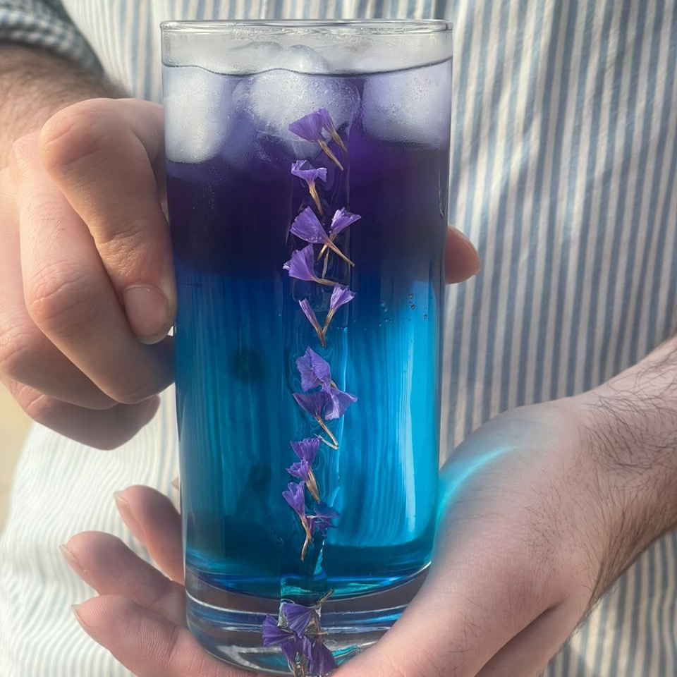 بلوپانچ