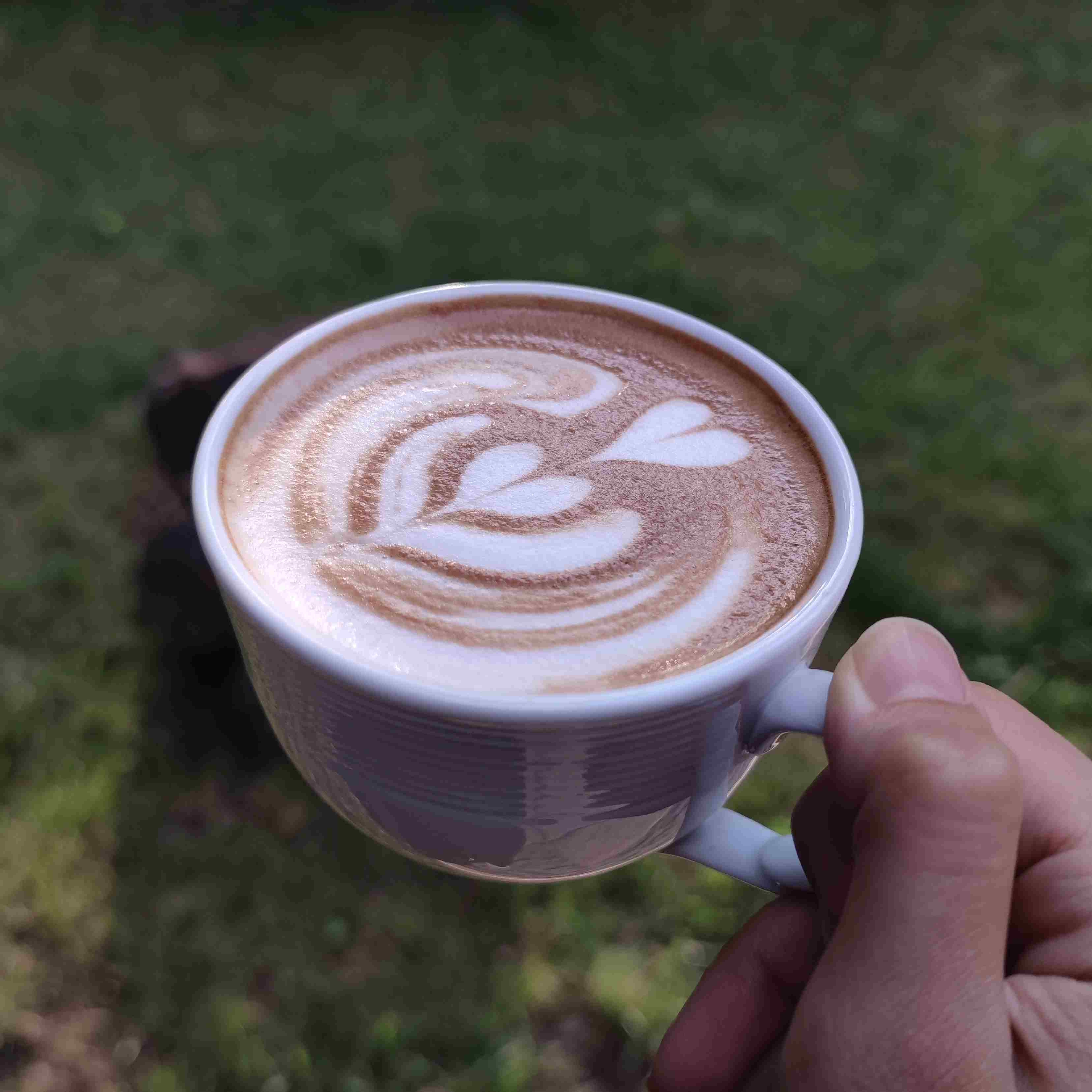 کاپوچینو