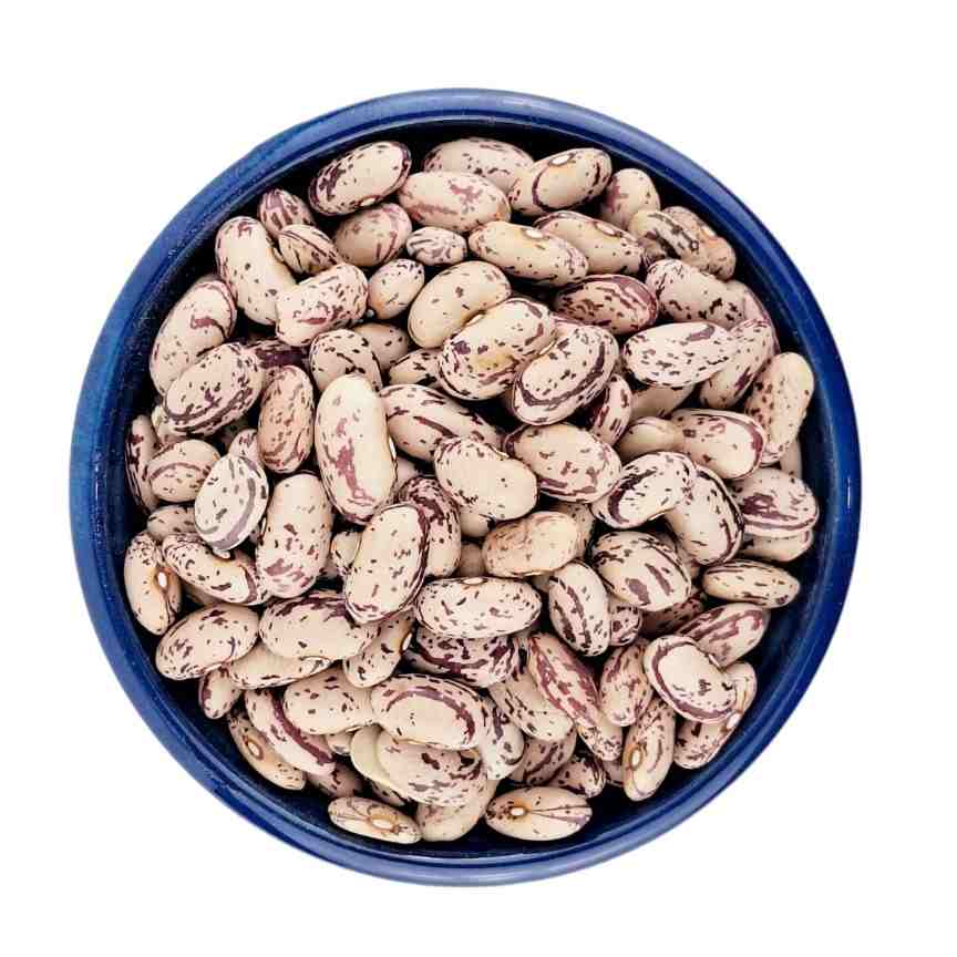 لوبیا چیتی قلمی