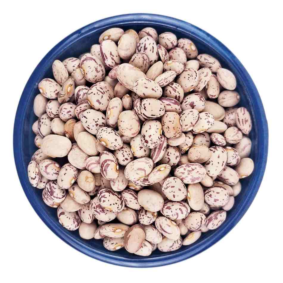لوبیا چیتی