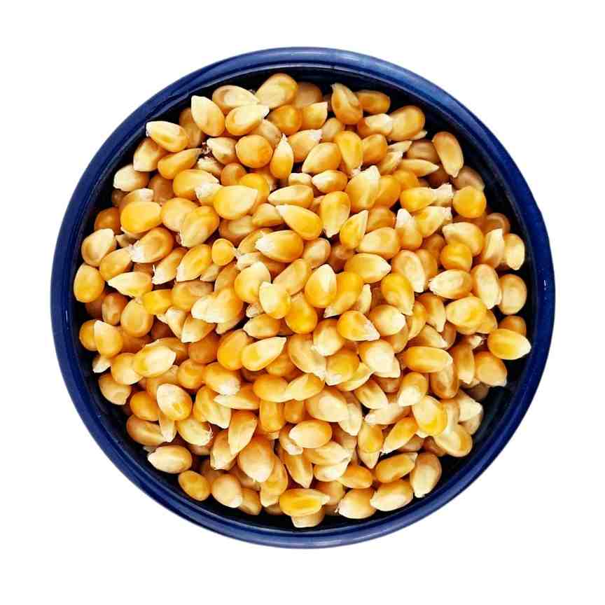 ذرت پاپکورن